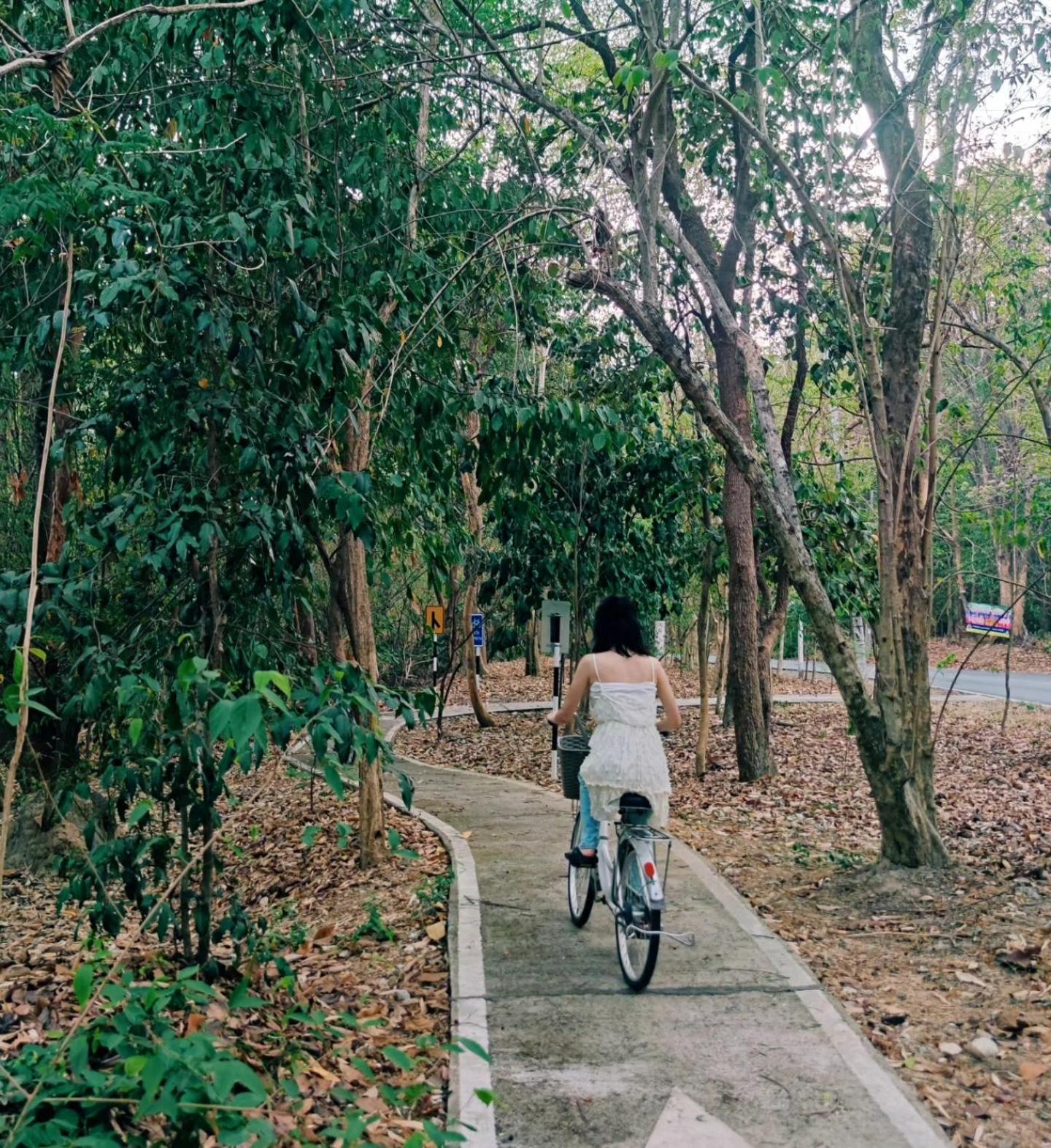 Foresta Villa Hang Dong Bagian luar foto