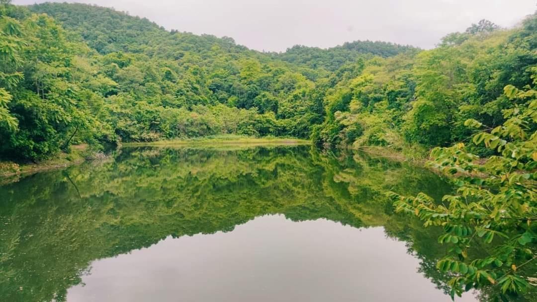 Foresta Villa Hang Dong Bagian luar foto