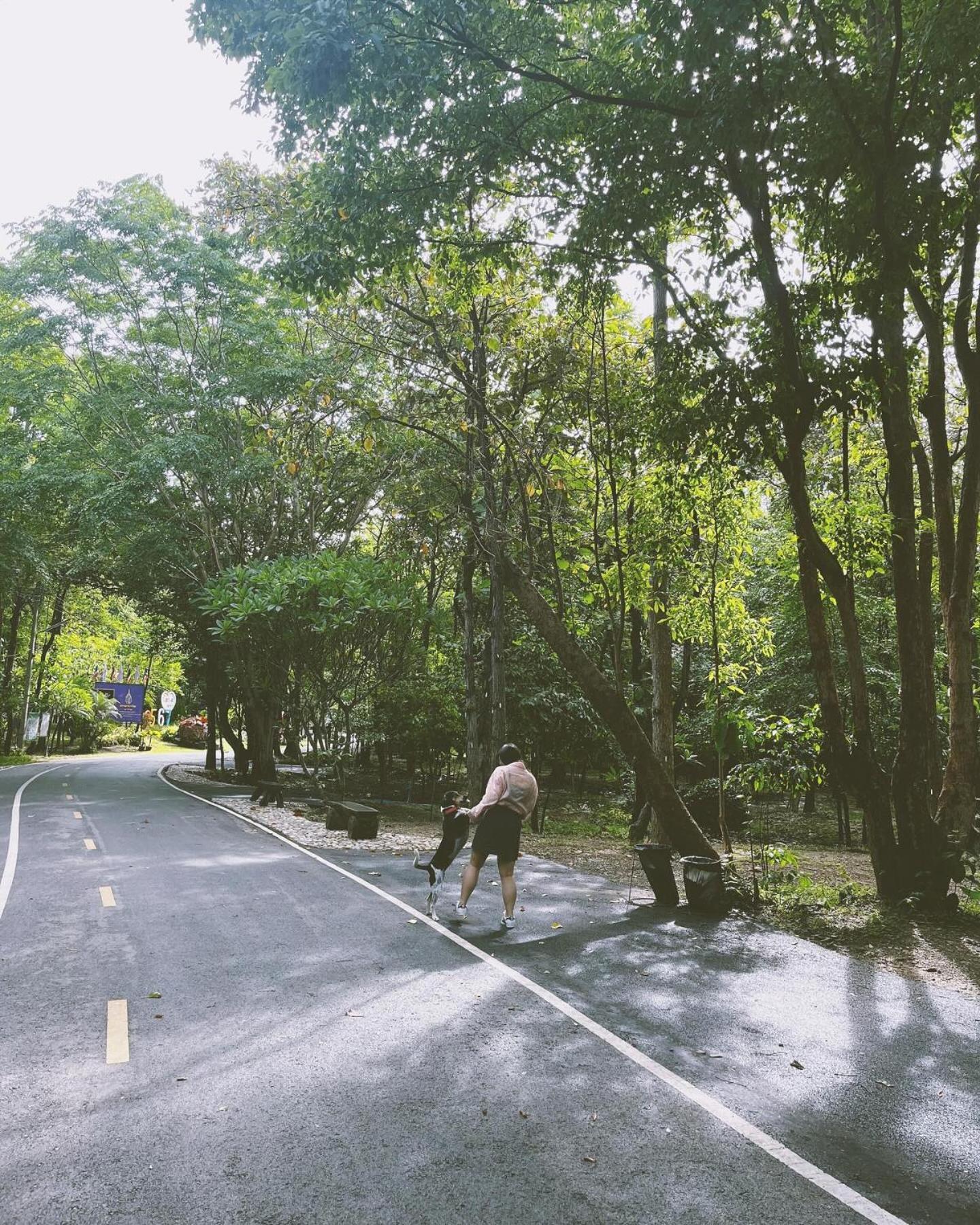Foresta Villa Hang Dong Bagian luar foto