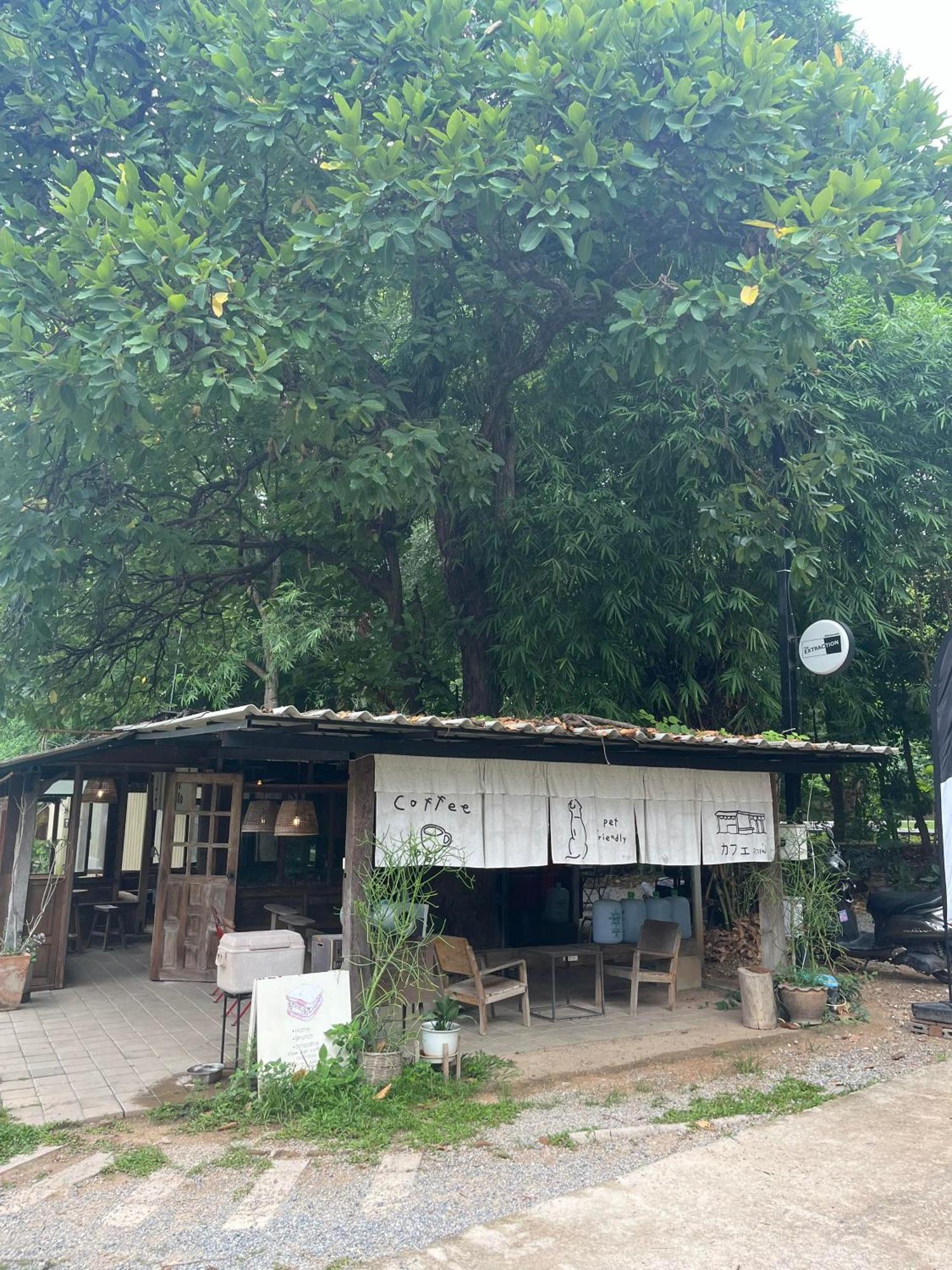 Foresta Villa Hang Dong Bagian luar foto