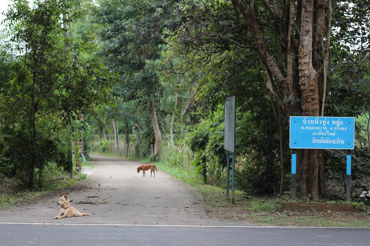 Foresta Villa Hang Dong Bagian luar foto