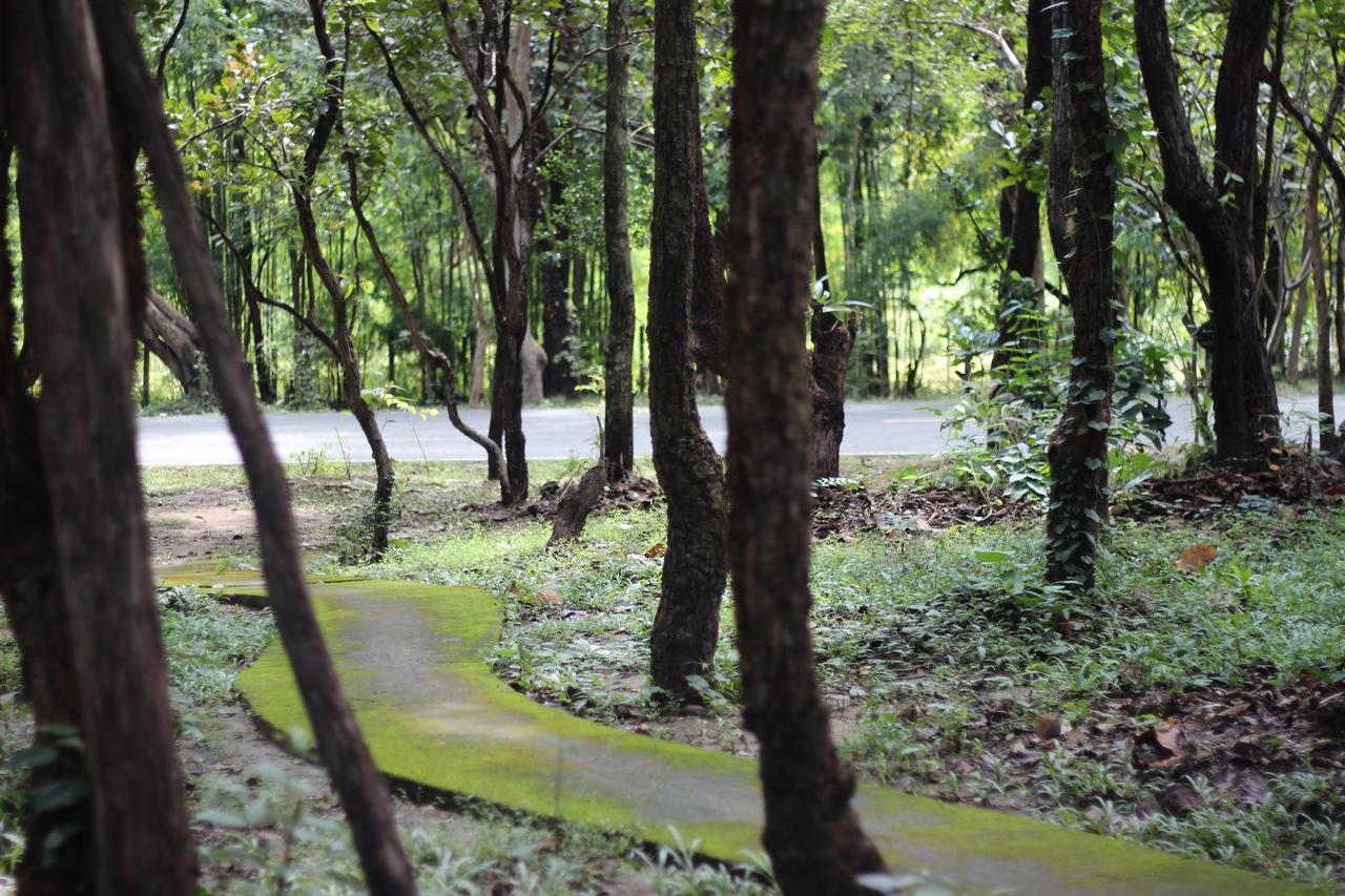 Foresta Villa Hang Dong Bagian luar foto